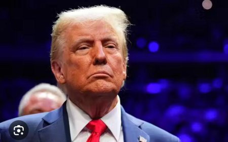 Le président Donald Trump interdit les haitiens d'entrer aux Etats Unis