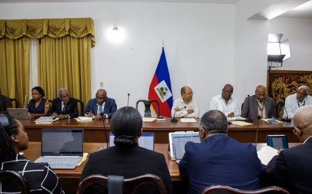 Rencontre entre Leslie Voltaire et des représentants du secteur de l'énergie en crise