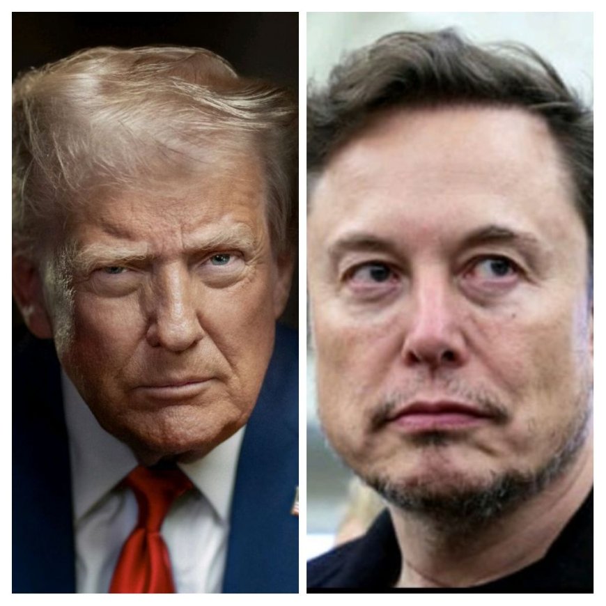 Aux États-Unis, la fin de la bromance entre Trump et Musk !
