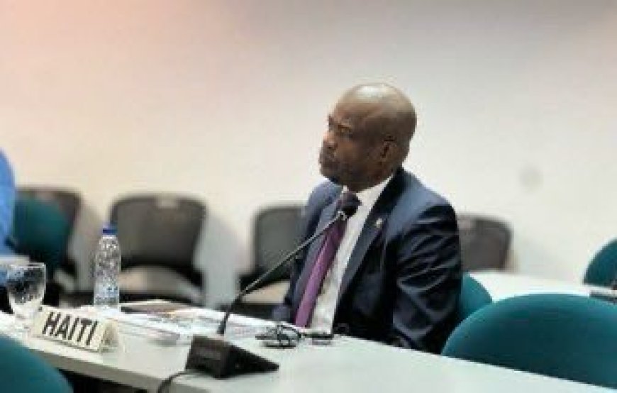 L’ambassadeur haïtien Lesly David élu Secrétaire permanent du SELA