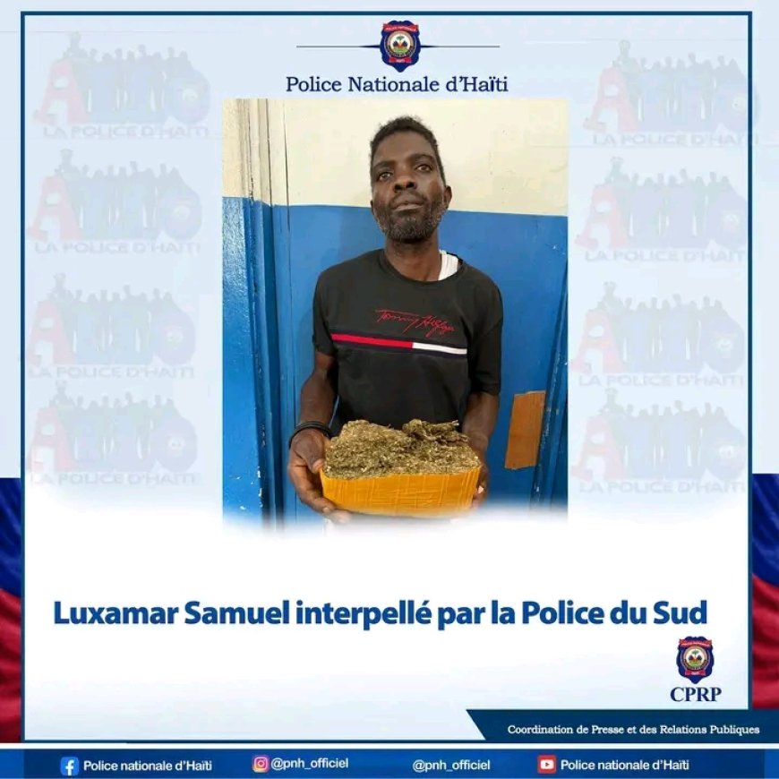 PNH : un individu en possession d'une quantité de marijuana arrêté dans le Sud