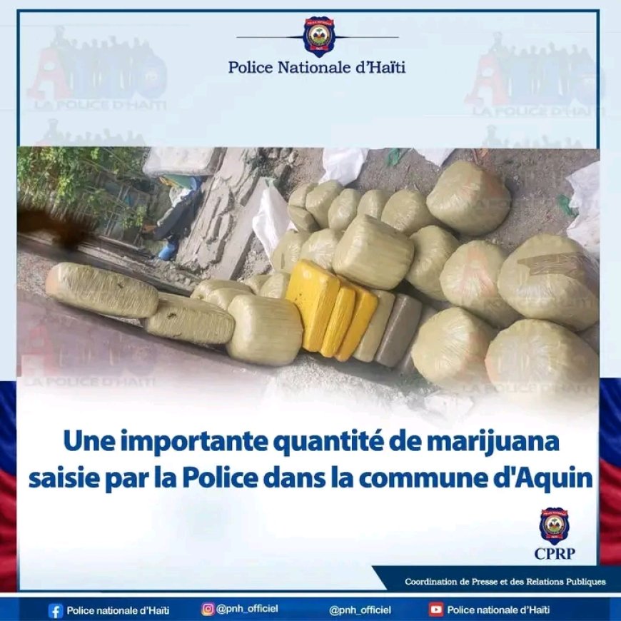 Aquin : importante saisie par la Police d'une quantité de marijuana