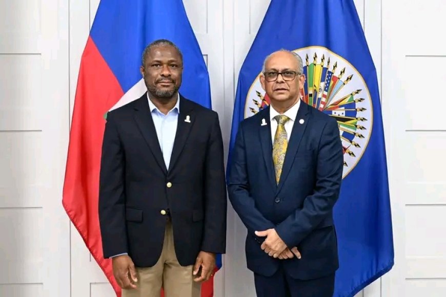 Le Secrétaire général de l'OEA prépare une prochaine visite en Haïti