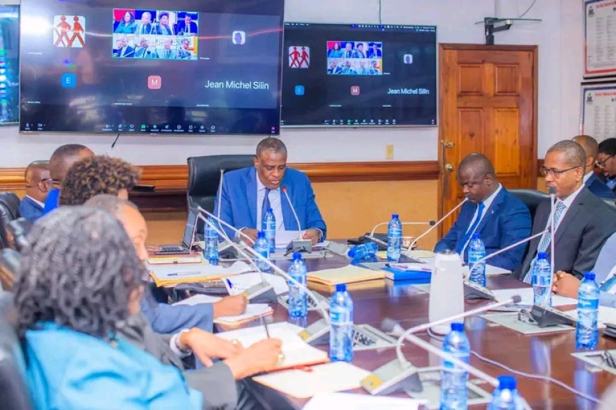Haïti : le Conseil National de Statistique et d'Informatique enfin opérationnel