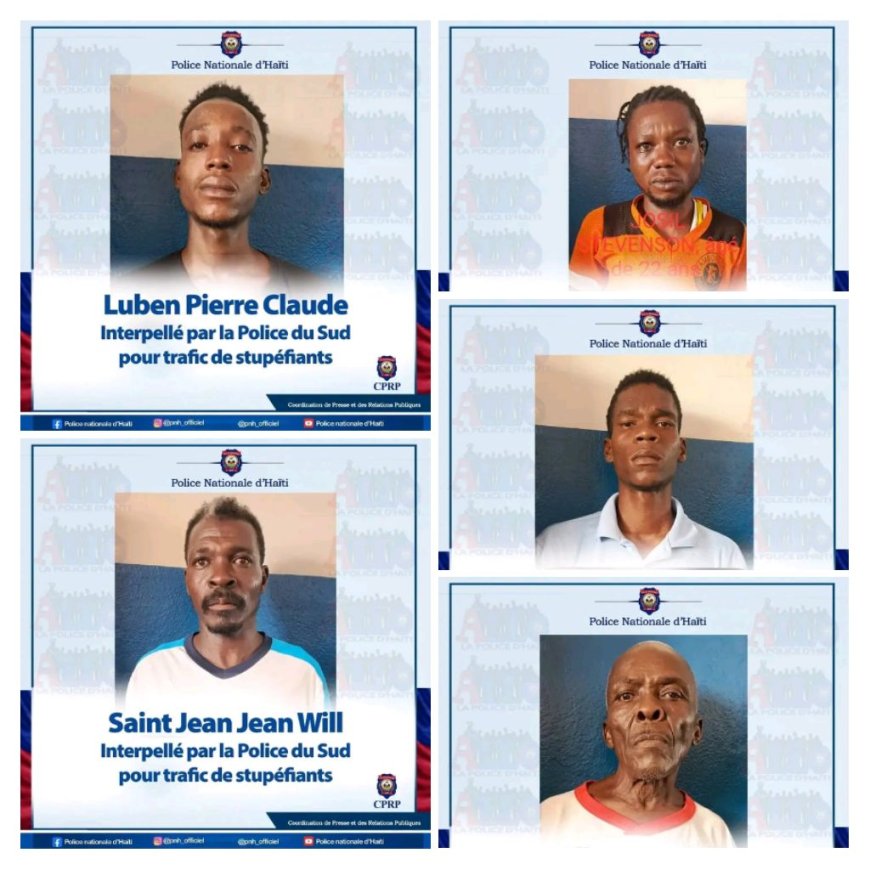 PNH : cinq individus interpellés aux Cayes pour trafic de stupéfiants