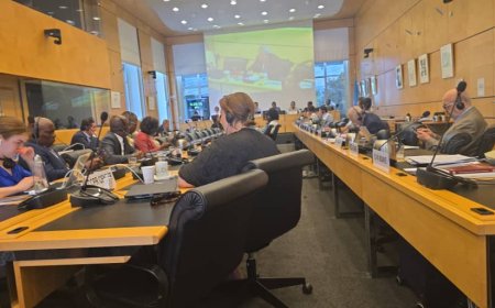 Droits de l'homme en Haïti : l'OCNH formule des recommandations