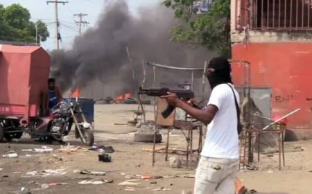 L'Estère : une dizaine de morts lors d'une attaque des gangs armés