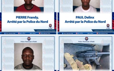 Nord : trois individus arrêtés et un fusil saisi lors d'une opération policière à La Madeline