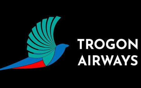 Haïti : une nouvelle compagnie aérienne va fournir ses services de vols