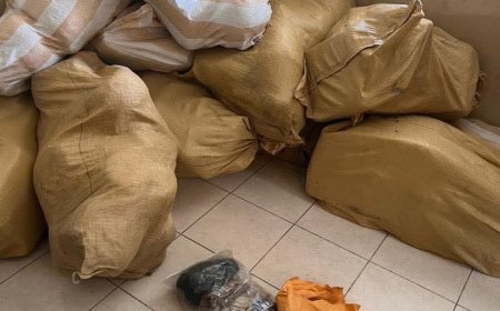 425 kilos de marijuana saisis dans une maison à Petit-Anse dans le Nord