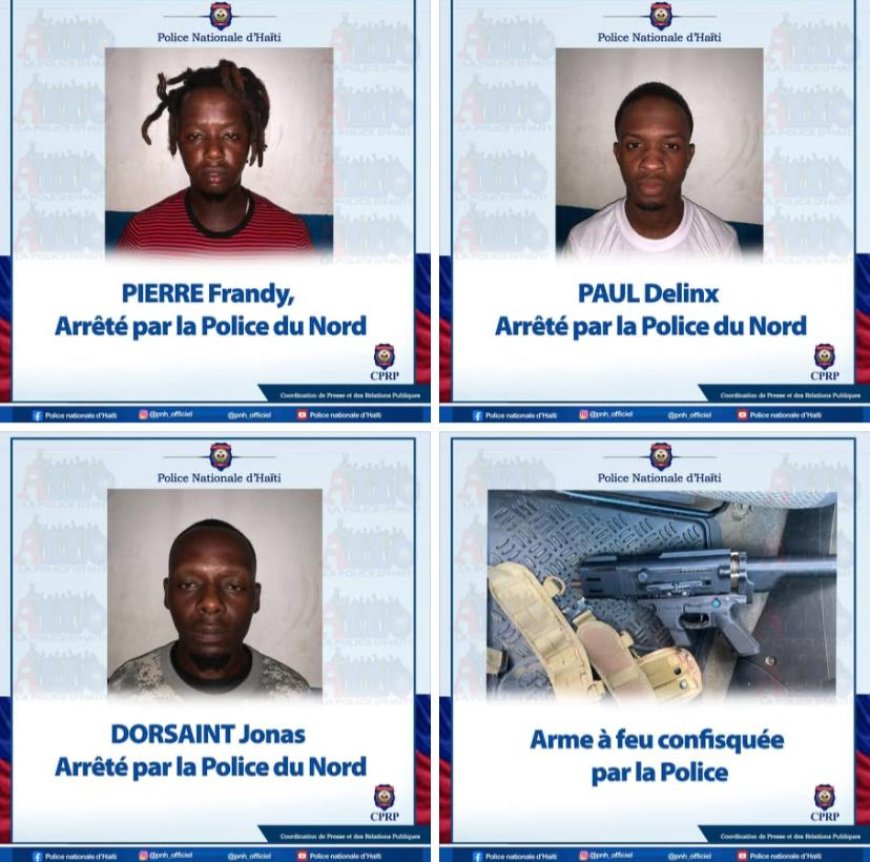 Nord : trois individus arrêtés et un fusil saisi lors d'une opération policière à La Madeline