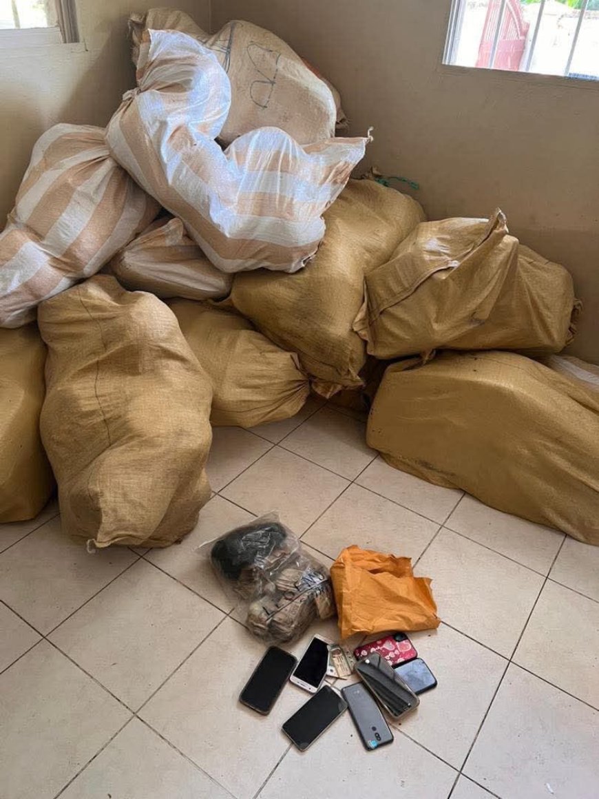 425 kilos de marijuana saisis dans une maison à Petit-Anse dans le Nord